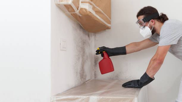Professional Basement Mold Removal technician working in Vauxhall, NJ